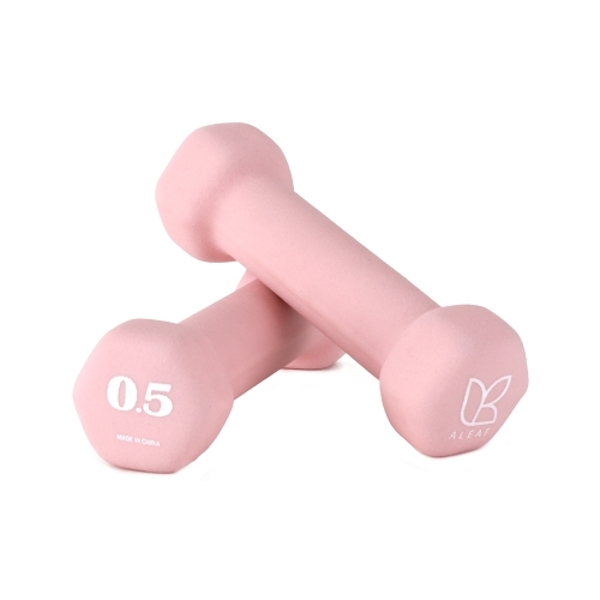 선인장 미용아령 0.5kg 세트 홈트 덤벨 헬스
