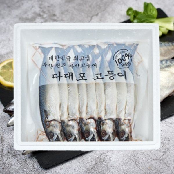 다대포 고등어 2.3kg내외(마리당 230g내외)/10미