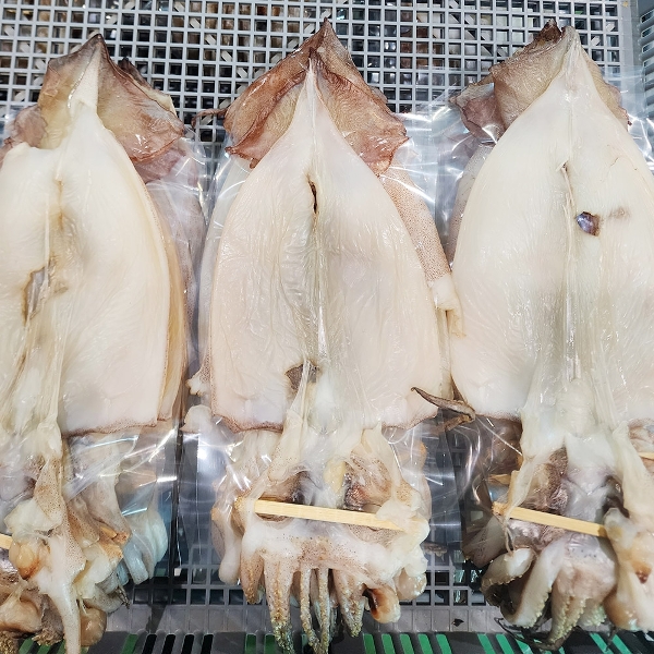 포항 구룡포 반건조 오징어 대형 10마리 1kg내외