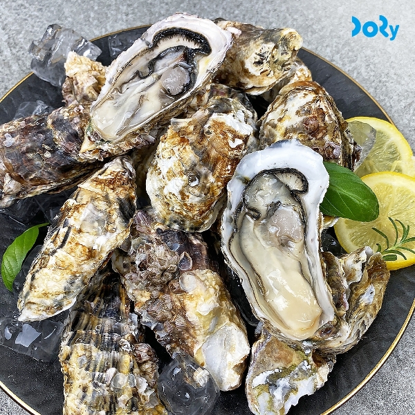 올바른푸드 [맛도리] 국내산 제철 산지직송 여수 <b>석화</b> 10kg 각굴 <b>석화</b>구이 <b>석화</b>찜