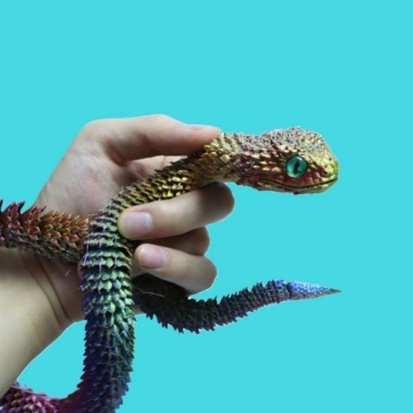 [아우트66]인쇄 프린터 파충류 모델 드래곤 3D 3D프린트