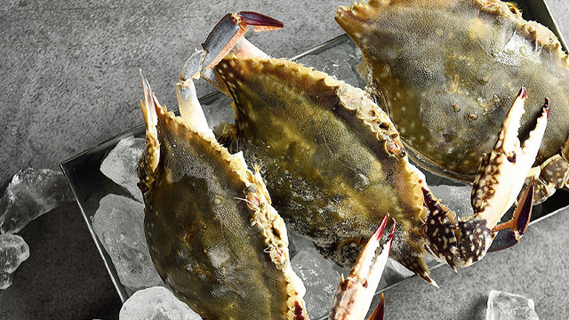 국산 제철 서해안 햇 생물꽃게 중소크기 2kg 10-12마리 내외