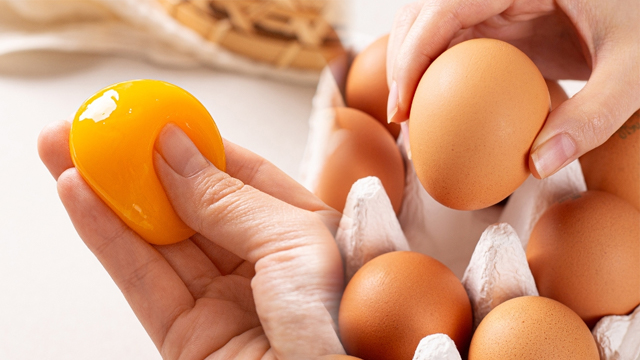 HACCP 자연방목 난각번호 1번 무항생제 인증 자연방사 안전 유정란 20구(대란)