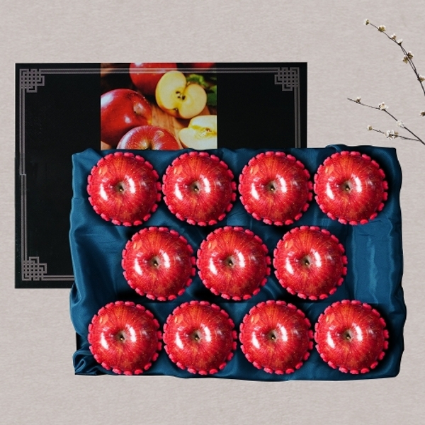 [산지직송] 특선 사과 선물세트 3kg 중대과 (11과내외)