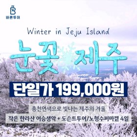 제주도 3박 4일 여행 199,000원_한라산 어승생악 눈꽃여행