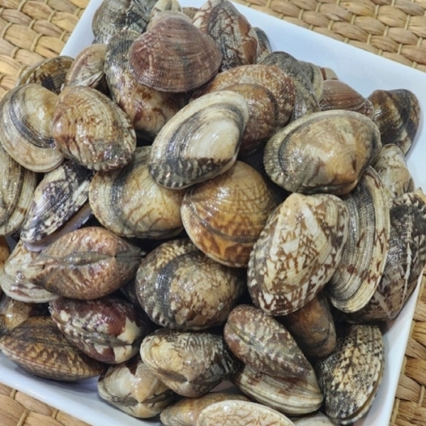 [해담] 국내산 활 바지락 1kg 3팩 (1팩당 55미 내외)
