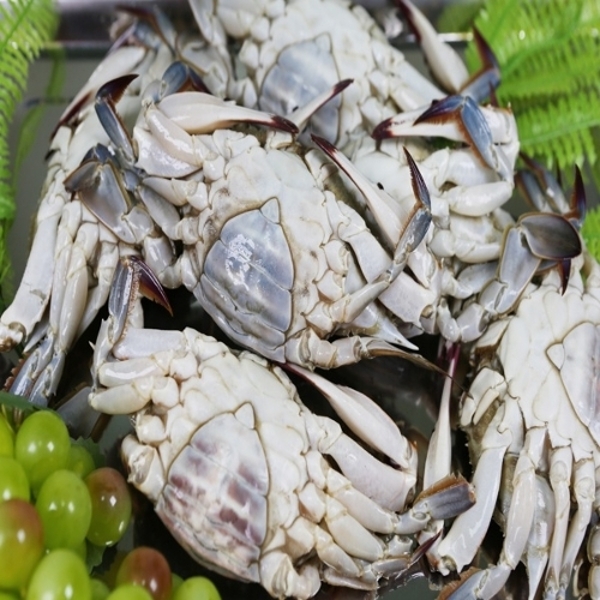 [푸른식탁] 국내산 냉동 암꽃게 2kg (1kg당 3-4미)