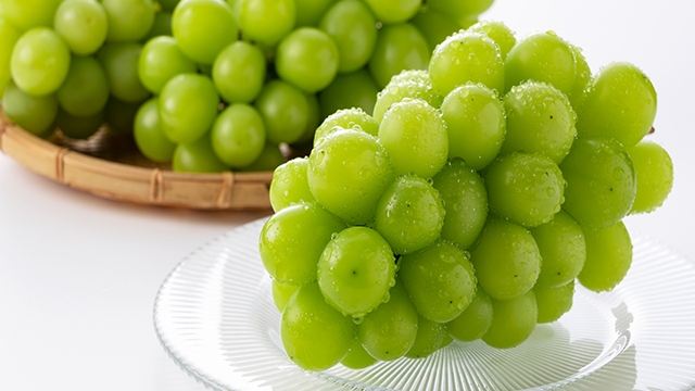 첫 수확! 달콤하고 맛있는 샤인머스켓 1kg 2-3수
