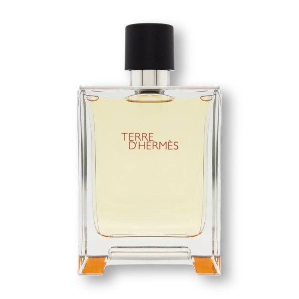 에르메스 떼르 데르메스 EDT 100ml