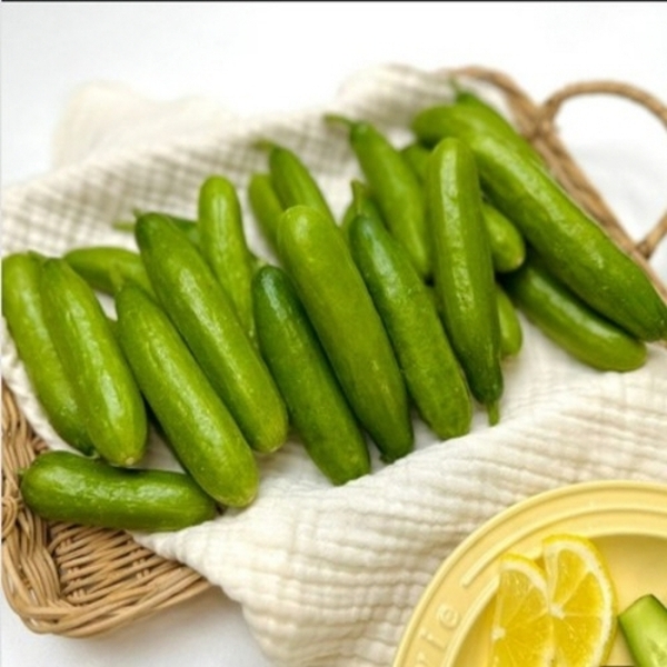 국내산 미니오이 2kg