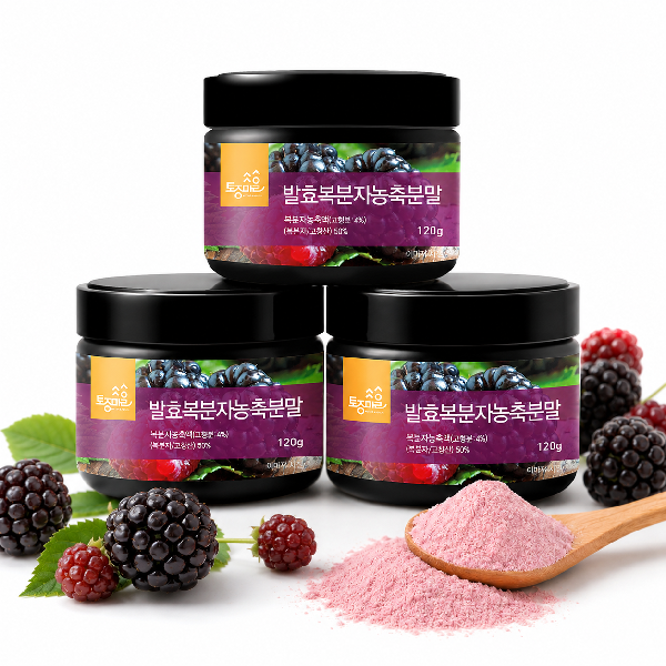 [토종마을]발효복분자농축분말 120g X 3개 복분자가루
