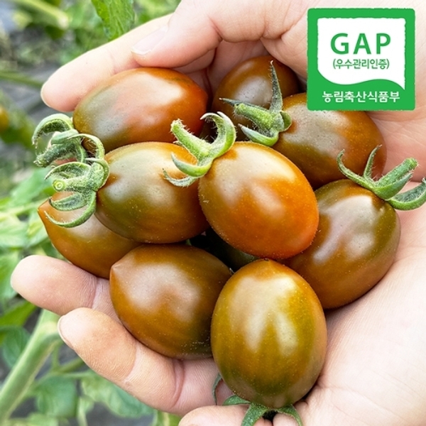 [GAP인증] 당일수확 경남직송 흑 대추방울토마토 2kg