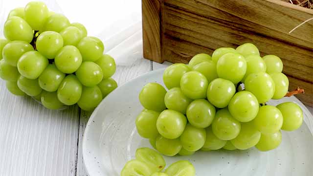 국내산 가정용 고당도 샤인머스켓 2kg 4-5수